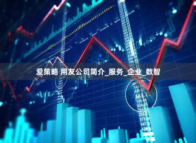 爱策略 用友公司简介_服务_企业_数智
