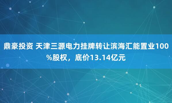 鼎豪投资 天津三源电力挂牌转让滨海汇能置业100%股权，底价13.14亿元