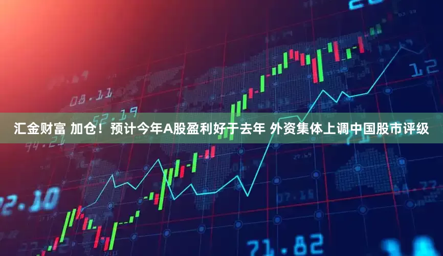汇金财富 加仓！预计今年A股盈利好于去年 外资集体上调中国股市评级