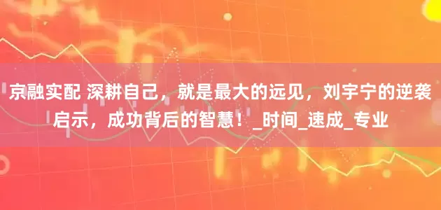 京融实配 深耕自己，就是最大的远见，刘宇宁的逆袭启示，成功背后的智慧！_时间_速成_专业