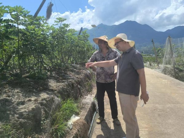 宝盈国际 “工助振兴”持续发力&#32;福州劳模下乡为闽清无花果“把脉开方”