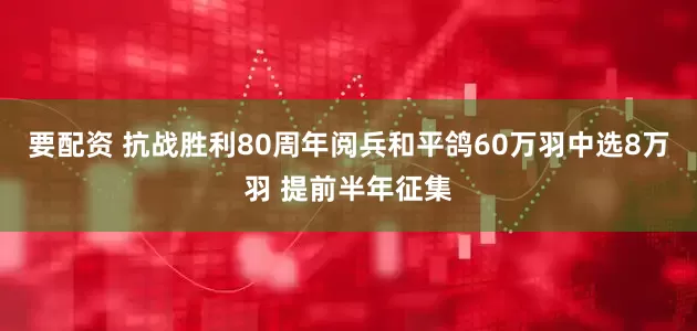要配资 抗战胜利80周年阅兵和平鸽60万羽中选8万羽 提前半年征集