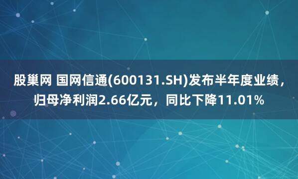 股巢网 国网信通(600131.SH)发布半年度业绩，归母净利润2.66亿元，同比下降11.01%